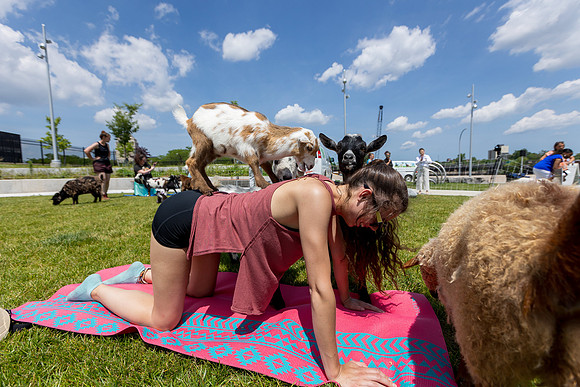 250624-yoga_352