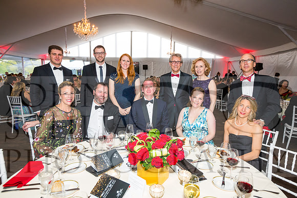 2017-heart-ball_schlia-112