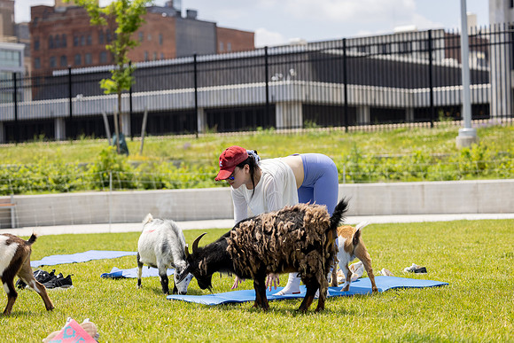 250624-yoga_438