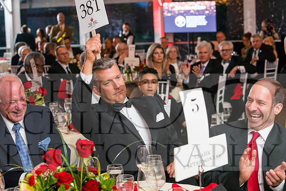 2017-heart-ball_schlia-161