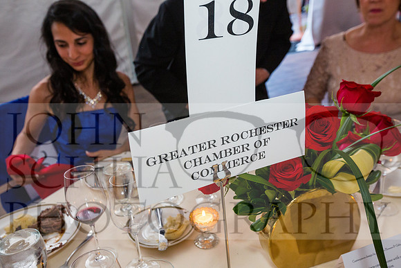2017-heart-ball_schlia-117