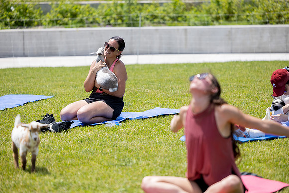 250624-yoga_577