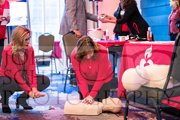 roc-heart-lunch-2019_0125-web