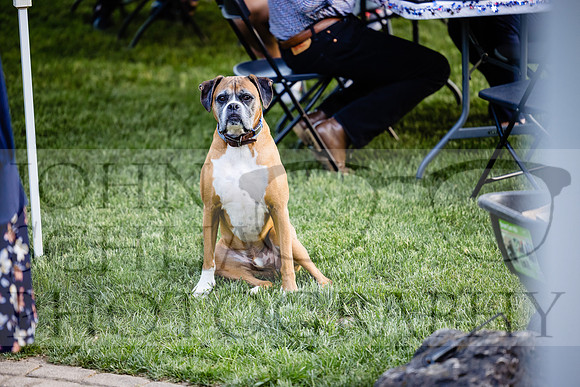 210528-lizz-evan_0026