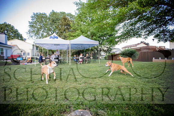 210528-lizz-evan_0019