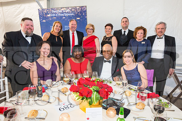 2017-heart-ball_schlia-91
