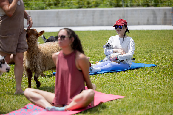 250624-yoga_489