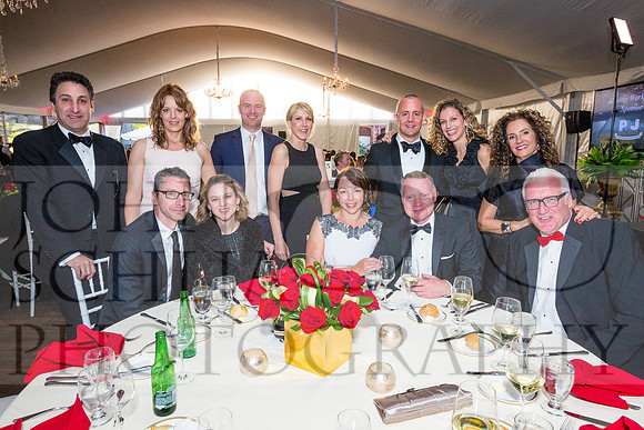 2017-heart-ball_schlia-95