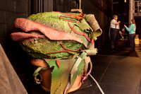 schlia-little-shop-of-horrors-010-web