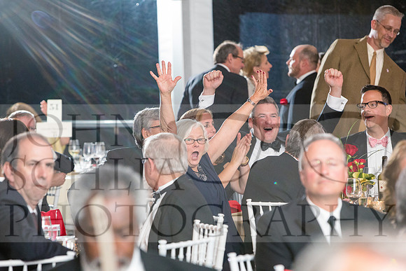 2017-heart-ball_schlia-162