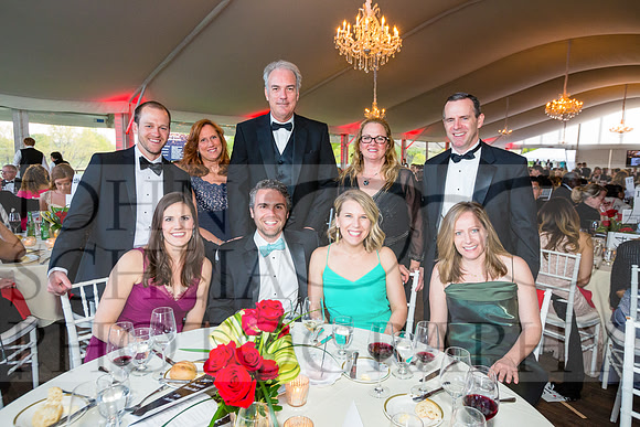 2017-heart-ball_schlia-107