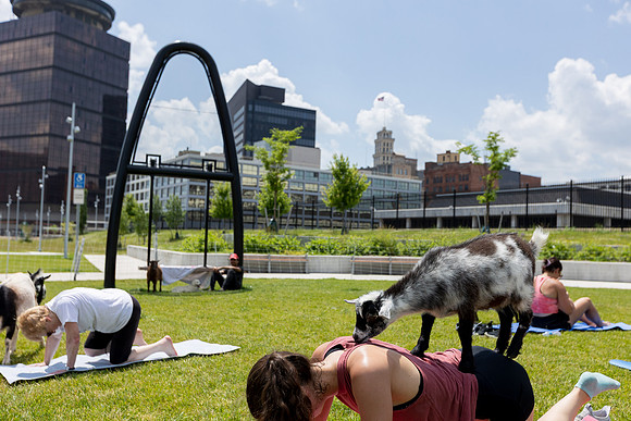 250624-yoga_513