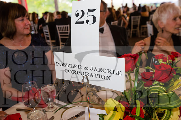 2017-heart-ball_schlia-108