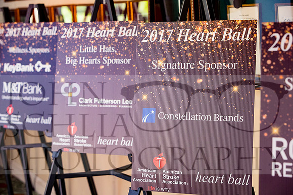 2017-heart-ball_schlia-5