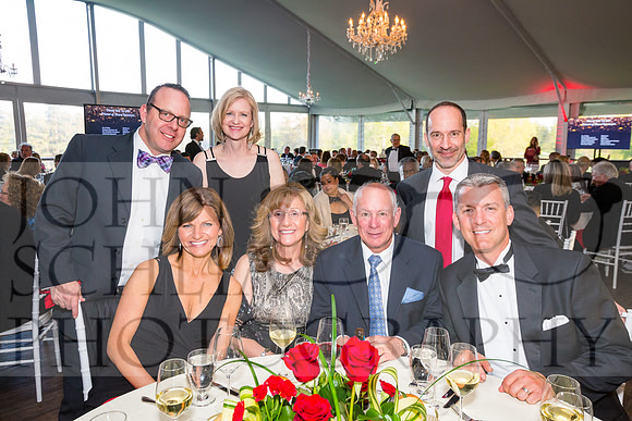 2017-heart-ball_schlia-97