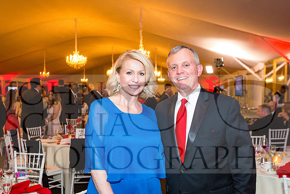 2017-heart-ball_schlia-174