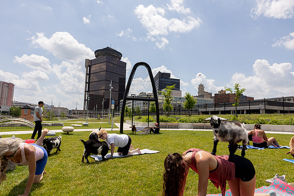 250624-yoga_517