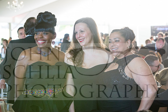 2017-heart-ball_schlia-71