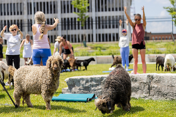 250624-yoga_305