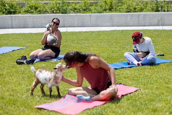 250624-yoga_582