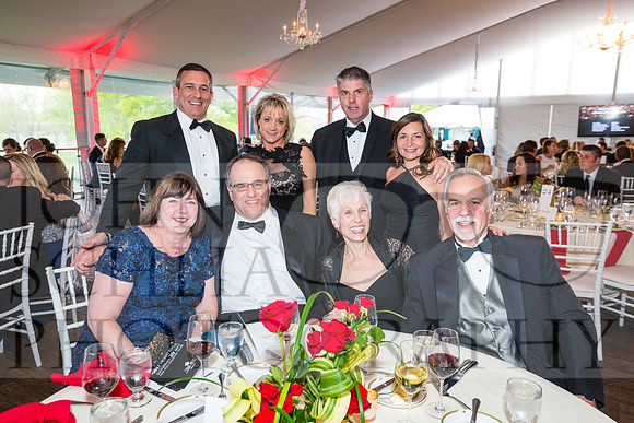 2017-heart-ball_schlia-109