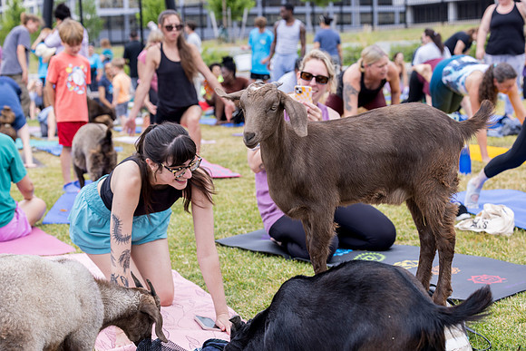 250708-yoga_151