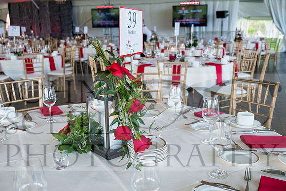 2018-rochester-heart-ball-11