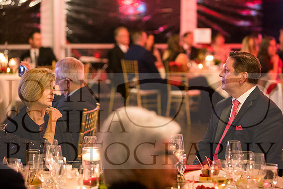2018-rochester-heart-ball-134-web