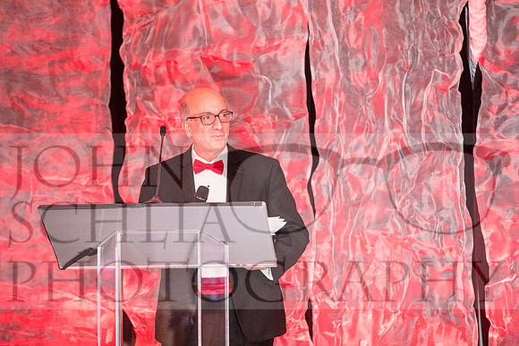 2018-rochester-heart-ball-126-web