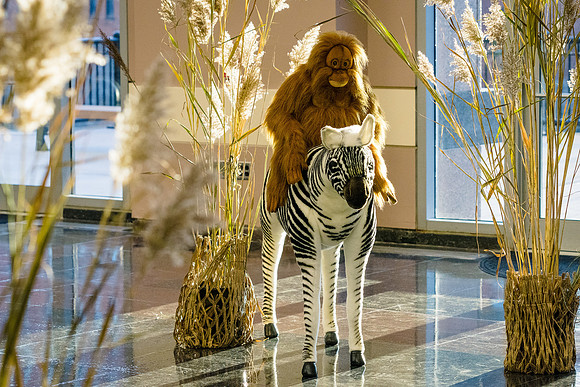 2019-gch-gala_057