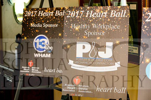 2017-heart-ball_schlia-9