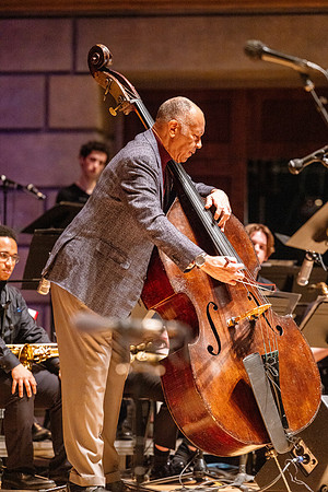 jazz-John-Clayton_0235
