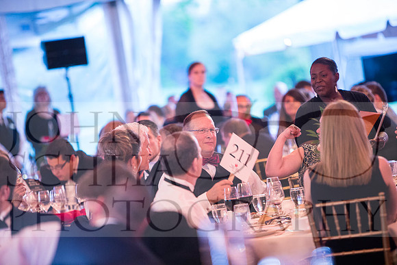 2018-rochester-heart-ball-106-web
