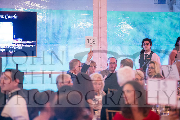 2018-rochester-heart-ball-109-web