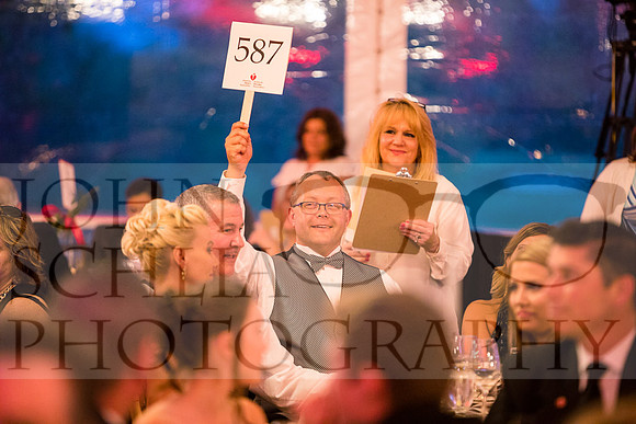 2018-rochester-heart-ball-119-web