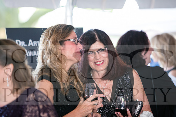 2018-rochester-heart-ball-77-web