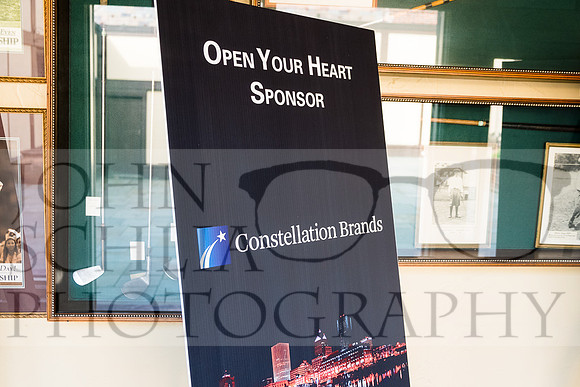 2018-rochester-heart-ball-6-web