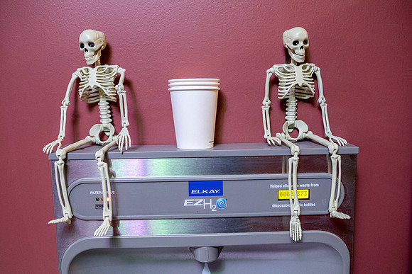 anomaly-2024_0031