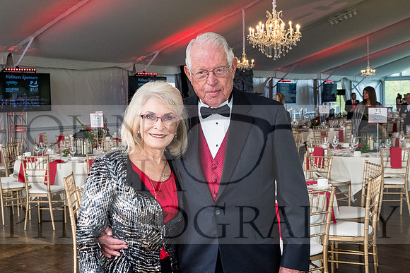 2018-rochester-heart-ball-26-web