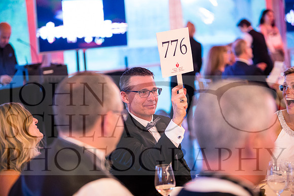 2018-rochester-heart-ball-113-web