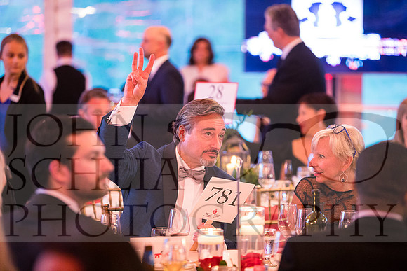 2018-rochester-heart-ball-116-web