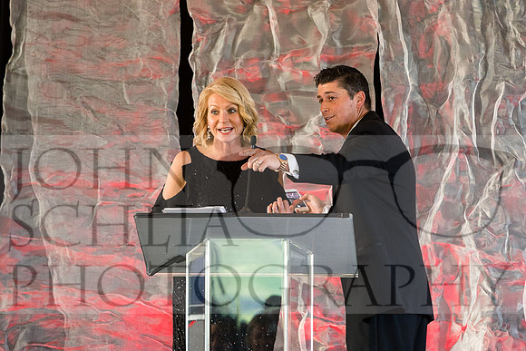 2018-rochester-heart-ball-90-web