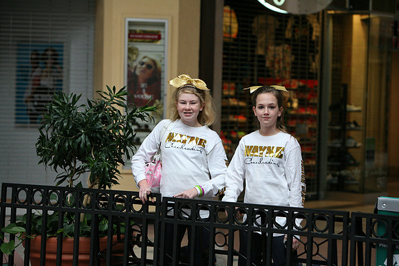 walk_for_wellness_2012 _078