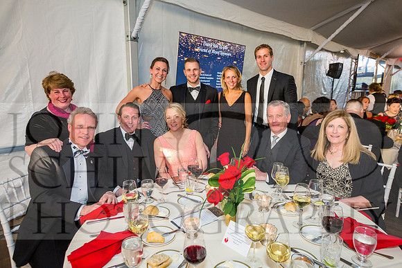 2017-heart-ball_schlia-89