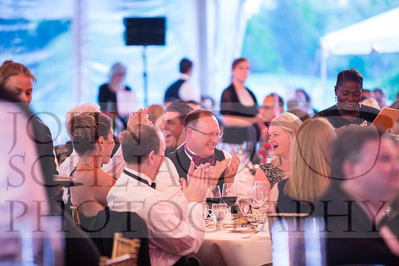 2018-rochester-heart-ball-108-web