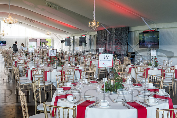 2018-rochester-heart-ball-12-web