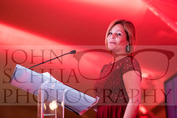 2018-rochester-heart-ball-136-web