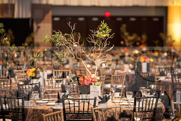 141018-childrens-gala-004