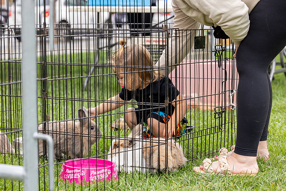 fall-fest-2024_210