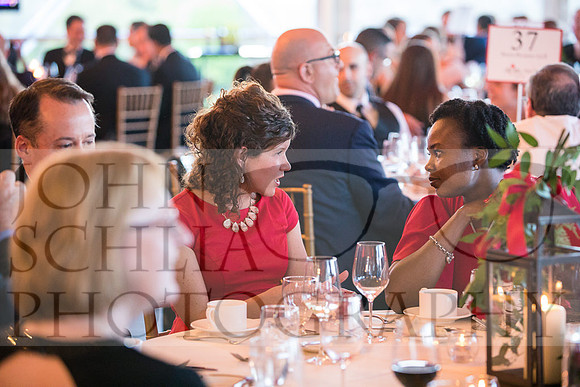 2018-rochester-heart-ball-100-web